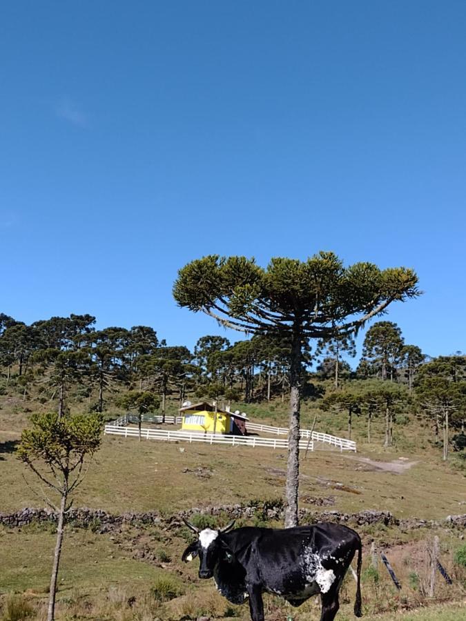 Casa E Cabana De Campo Fazenda Borba 乌鲁比西 外观 照片