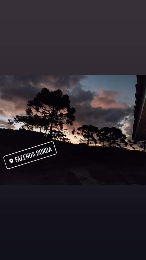 Casa E Cabana De Campo Fazenda Borba 乌鲁比西 外观 照片