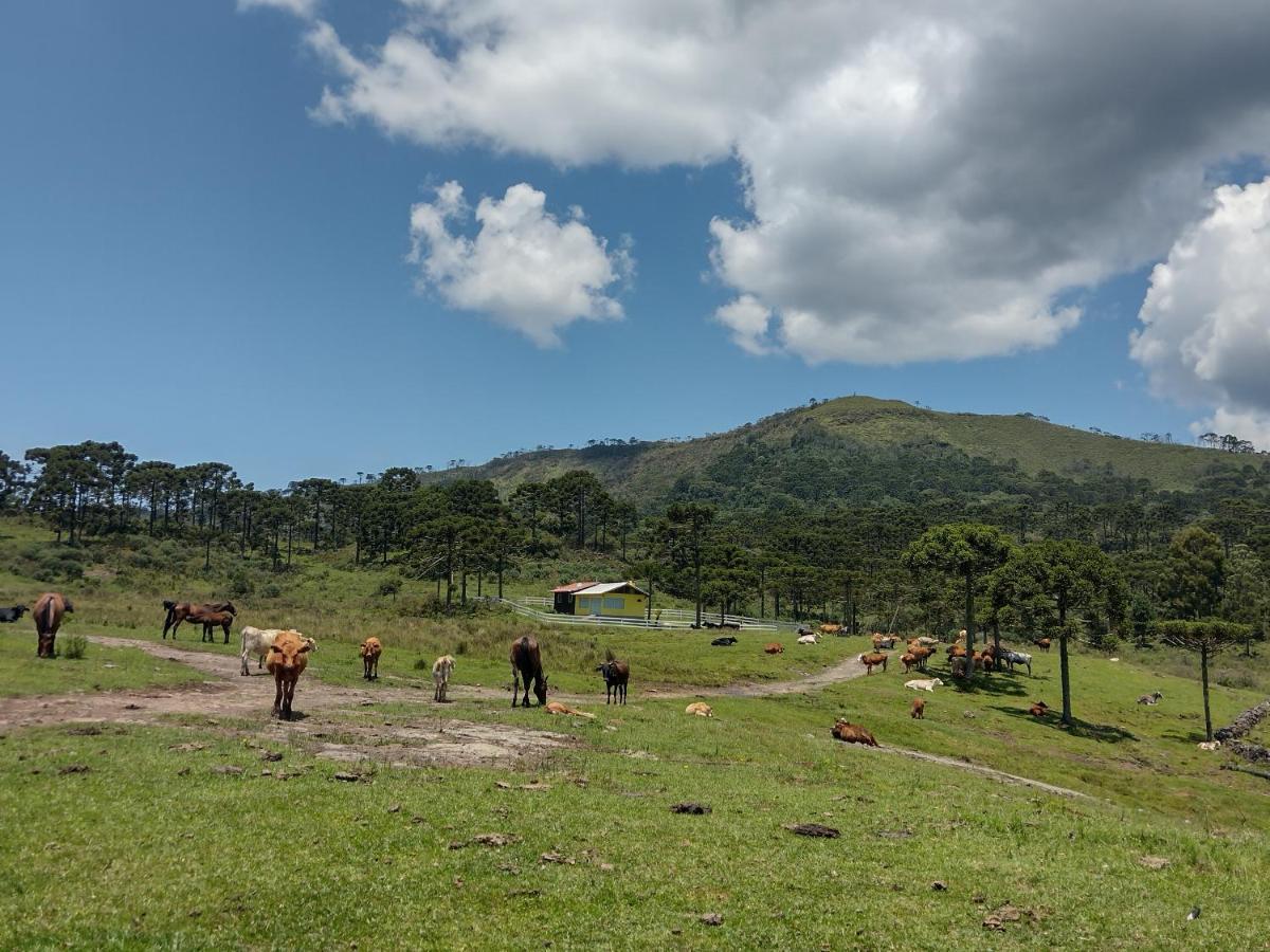 Casa E Cabana De Campo Fazenda Borba 乌鲁比西 外观 照片