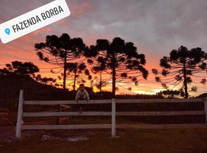 Casa E Cabana De Campo Fazenda Borba 乌鲁比西 外观 照片