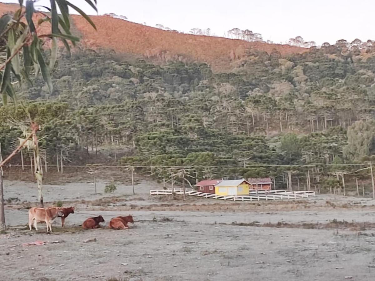 Casa E Cabana De Campo Fazenda Borba 乌鲁比西 外观 照片