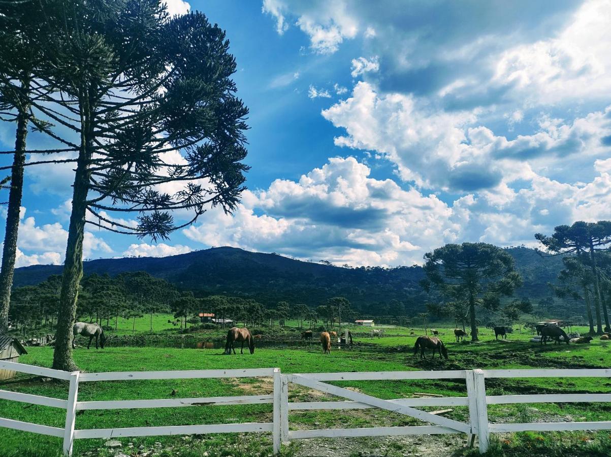 Casa E Cabana De Campo Fazenda Borba 乌鲁比西 外观 照片