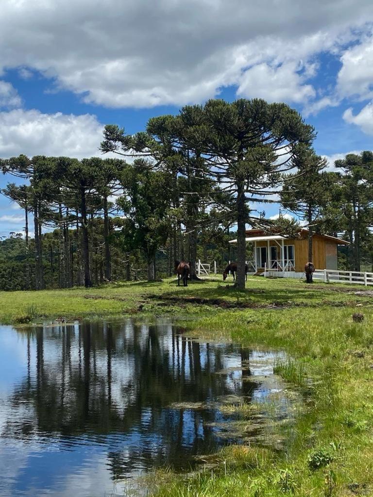 Casa E Cabana De Campo Fazenda Borba 乌鲁比西 外观 照片