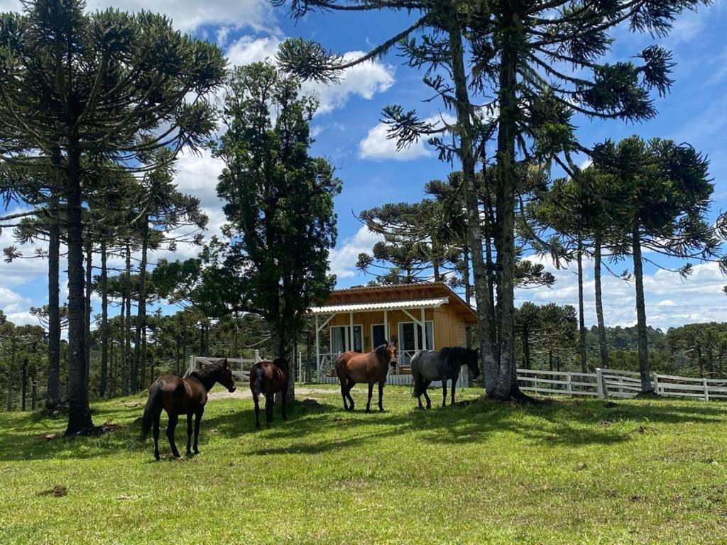 Casa E Cabana De Campo Fazenda Borba 乌鲁比西 外观 照片