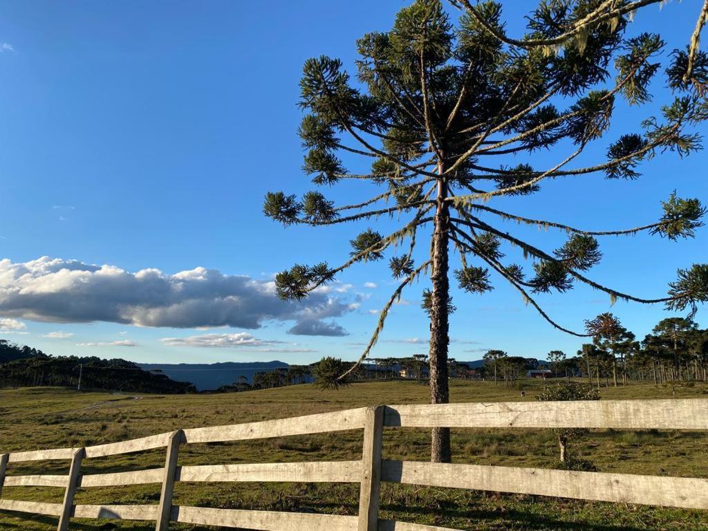 Casa E Cabana De Campo Fazenda Borba 乌鲁比西 客房 照片