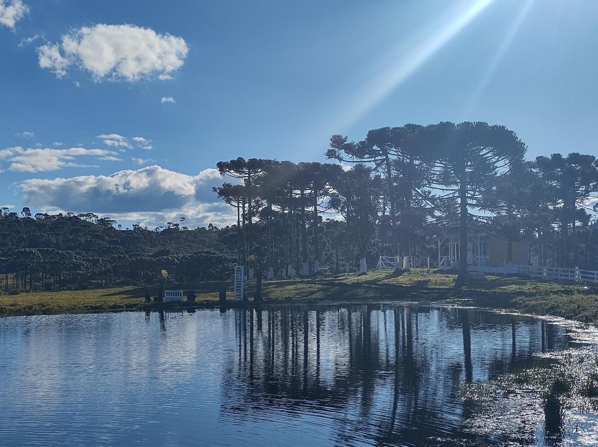 Casa E Cabana De Campo Fazenda Borba 乌鲁比西 客房 照片