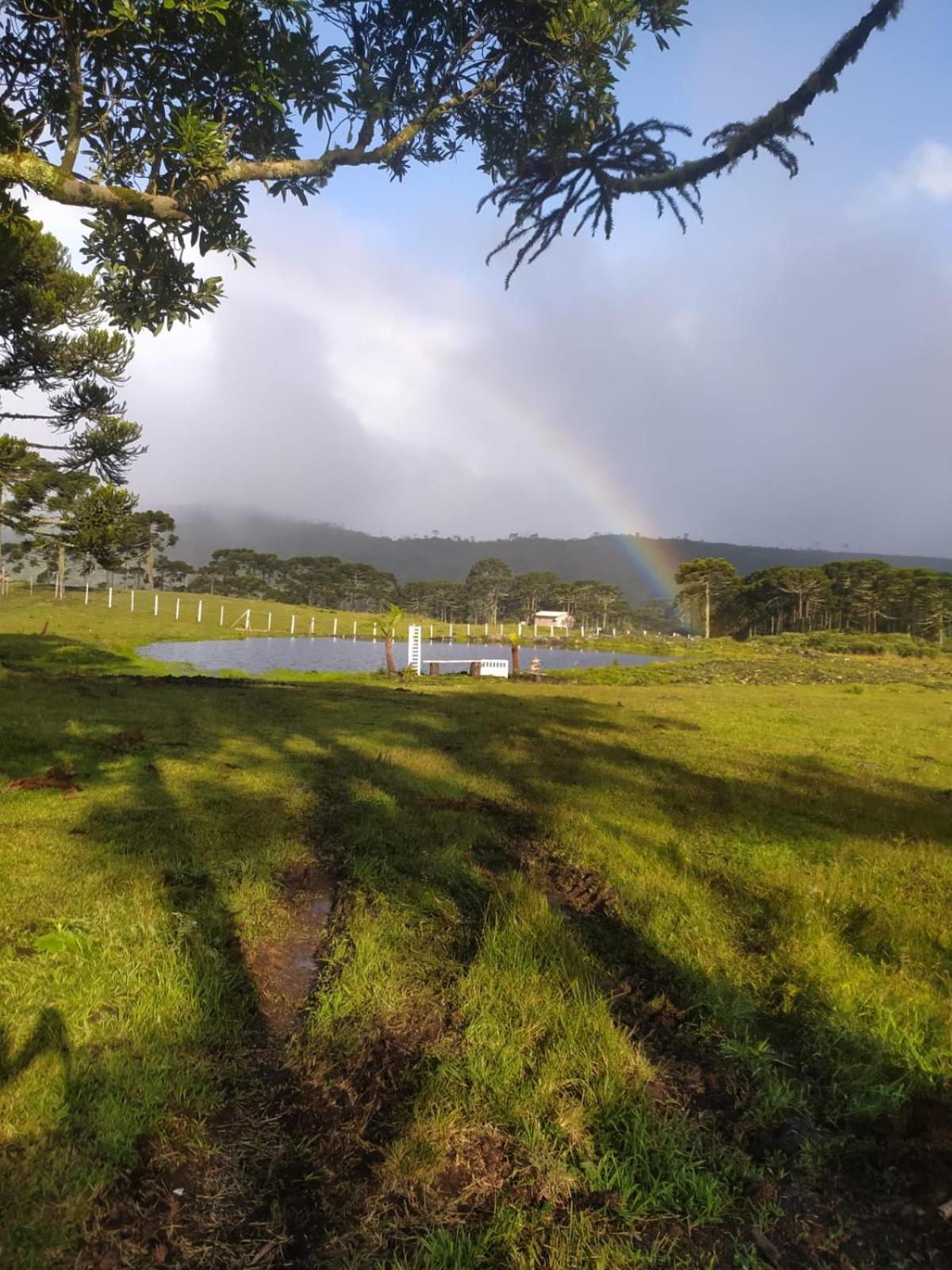 Casa E Cabana De Campo Fazenda Borba 乌鲁比西 客房 照片
