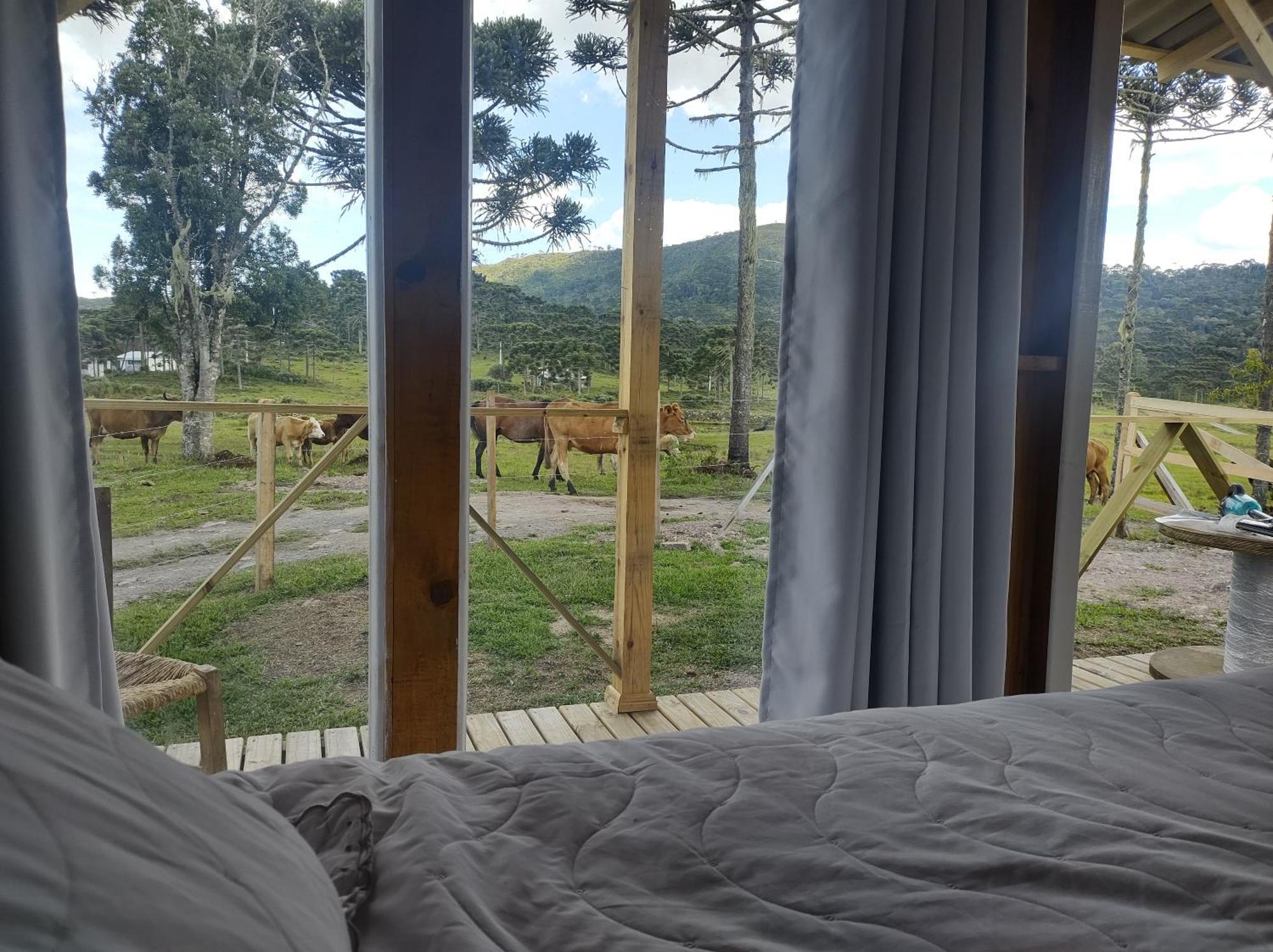 Casa E Cabana De Campo Fazenda Borba 乌鲁比西 客房 照片
