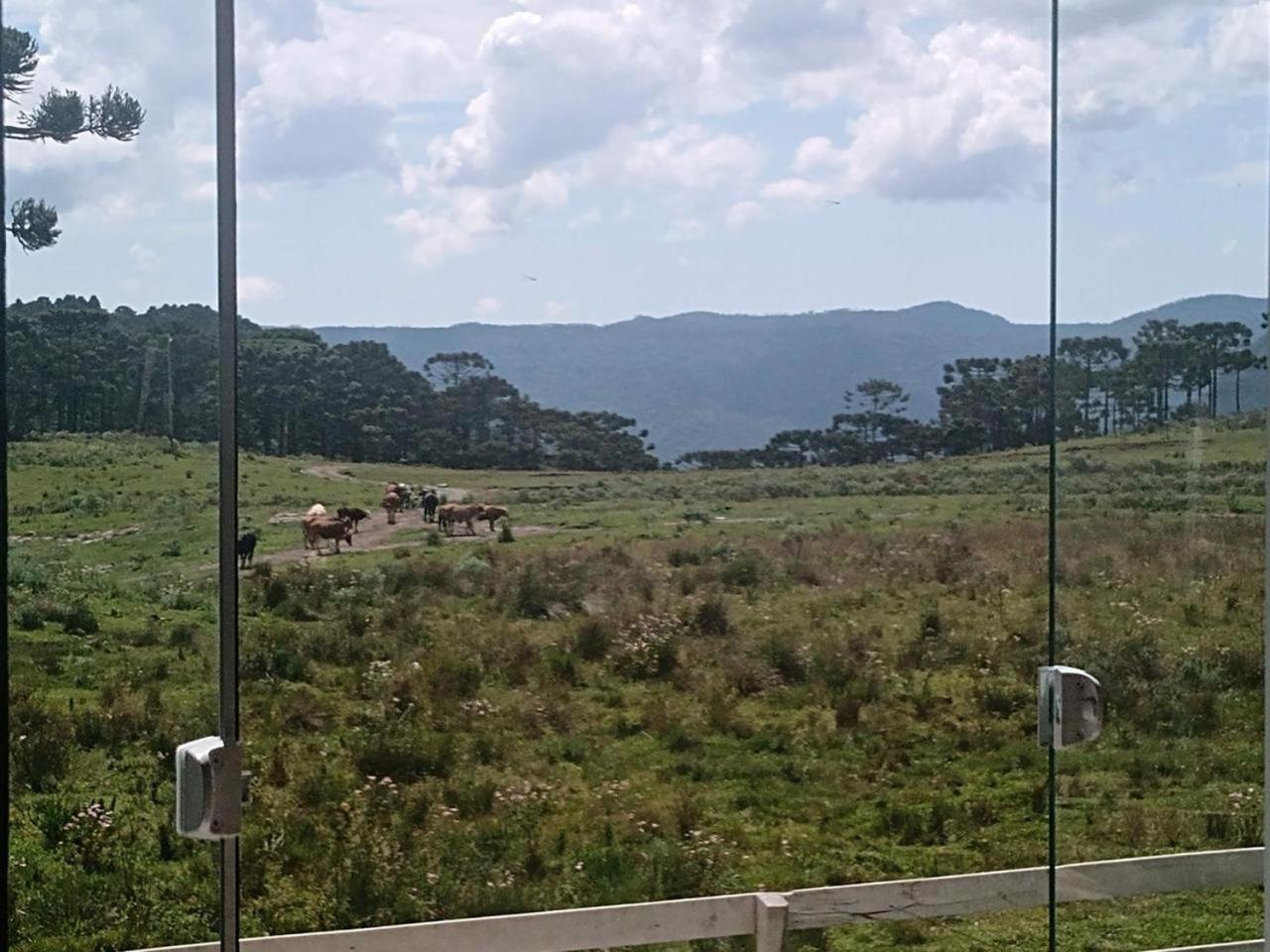Casa E Cabana De Campo Fazenda Borba 乌鲁比西 外观 照片