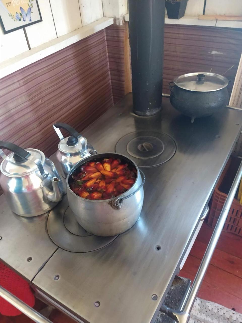 Casa E Cabana De Campo Fazenda Borba 乌鲁比西 外观 照片