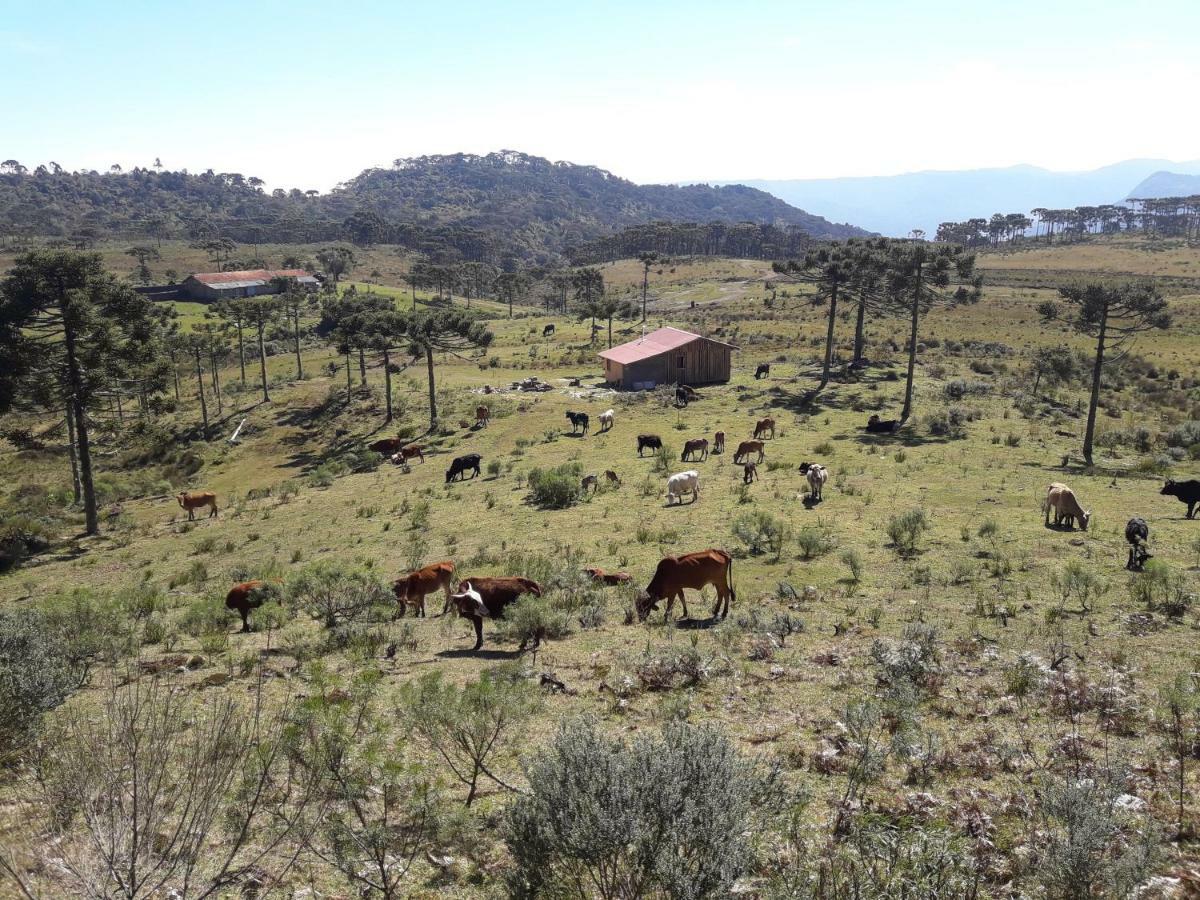 Casa E Cabana De Campo Fazenda Borba 乌鲁比西 外观 照片